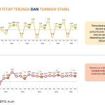Kinerja Ekonomi Aceh pada triwulan III-2025 mencatat pertumbuhan sebesar 4,46 persen (y on y), melambat dari triwulan III tahun sebelumnya. (Foto: Dok. BPS Aceh).